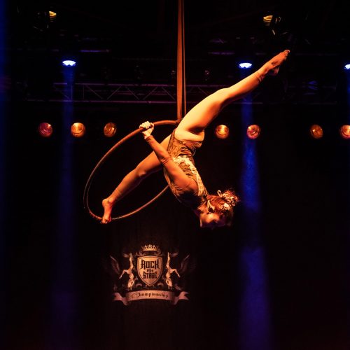 Rock The Stage Art of Pole & Hoop