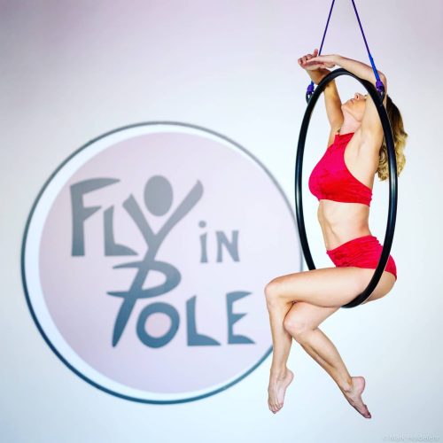 Fly In Pole