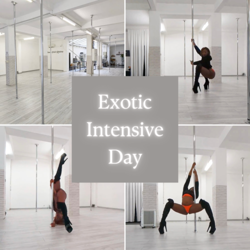 Exotic Intensive Day